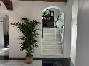 CASA YANGUAS APARTAMENTOS RURALES EN LAUJAR DE ANDARAx