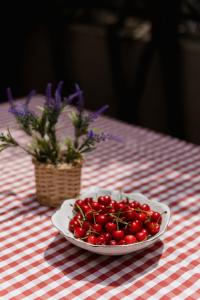 City Vibe Villa with pool