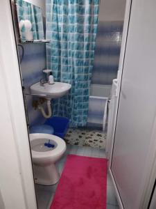 Apartman Iva Sokobanja