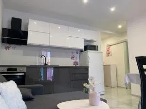 Apartments Milica - 米尔希