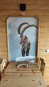 appartement parc aux etoiles