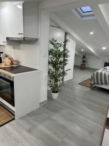 Loft Nazare Waves
