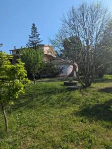 Samur - Attic - 韦纳夫罗