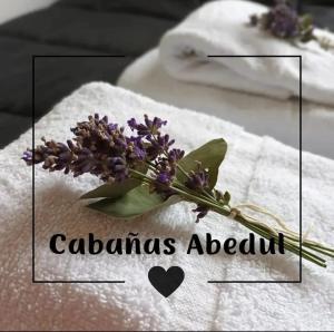 Cabañas Abedul