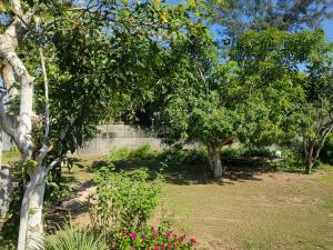 Solares le Venus apartamento proximo a praia