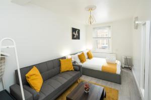 Spacious Studio Central Sofa bed