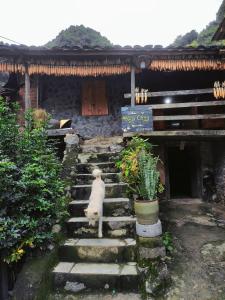 Hoàng Công Bản Giốc Homestay - Ubytování bez kategorie ve městě Cao Bang