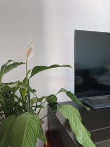 Casa Amar- Vista panorâmica