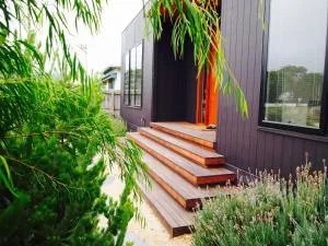 Kutu Ev - Beech Forest