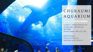 オーシャンテラス瀬底 402