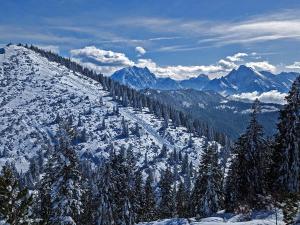 Ferienwohnung am Predigtstuhl