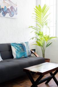 Dream Apartment Balcon Colibri