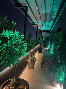 Rooftop City Light Tirana