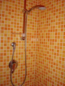 Butterfly Accommodation img48