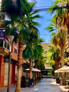 Costa Azul torrevieja