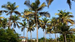 Villa Fiesta - Beachfront Getaway