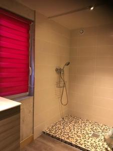 Appartements Studio Moovy Proche Stade Groupama, LCLD ARENA , Eurexpo Lyon : photos des chambres