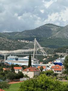 Cruise Ship Bridge View Apartment Luka