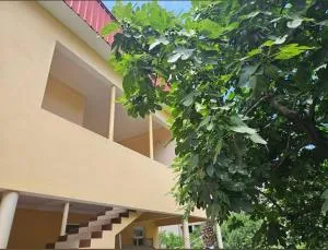 Ilia's Sweet Home - Minda