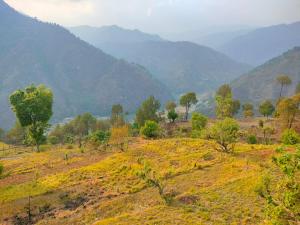 SVS Recreational Hotels & Resorts