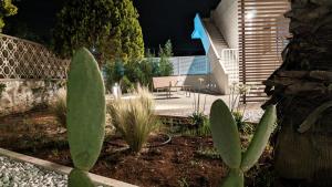 RoRà 1962 - Boho Chic Rooms Torre Lapillo