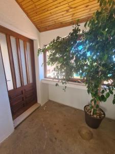 Apartment Zaglav 4 - first sea row