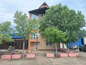 MORAVA apartmani - 阿莱克西纳茨