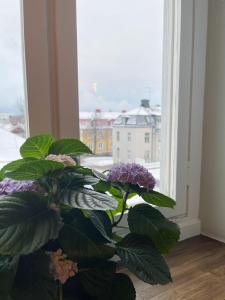 White Brig Guesthouse