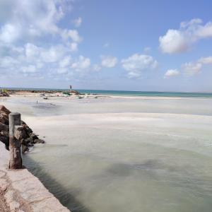 Villa Paco Djerba 2 suites et piscine privée