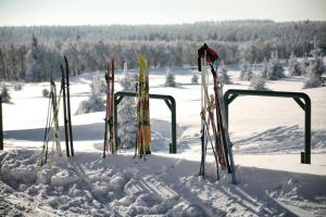 Hotel Krušnohorský Dvůr