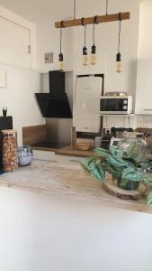 Mon Jardin Secret Marseillais avec terrasse dans le quartier le plus cool du Monde