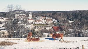 Appartements Vacances a la Campagne 4 etoiles a 30min des pistes de ski Mont Dore Sancy : photos des chambres