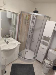 Maisons de vacances Maisonnette a 5 minutes d-Albi : photos des chambres