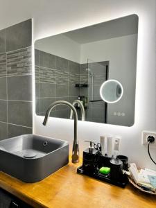Appartements The Green Terrace Disneyland : photos des chambres