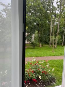 Sejours chez l'habitant Une Chambre dans un appartement : photos des chambres