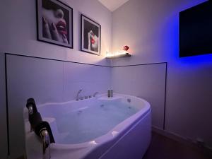 Appartements Orleans Centre - LOVE ROOM - Good Vibes Only BY PRIMO C0NCIERGERIE : photos des chambres