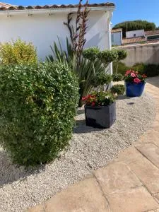 La Berrichonne - Le Martray