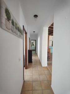 Villa albero