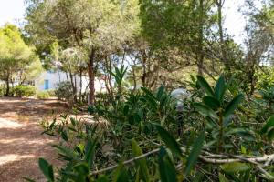 Villa Mario & Anna Carloforte img7