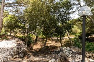 Villa Mario & Anna Carloforte img29