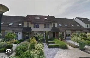 Witte Druif - Heeswijk-Dinther