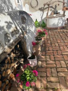 B&B Corte San Lussorio img5