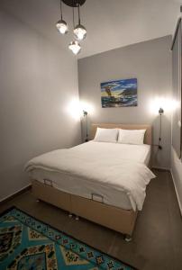 Big historical flat in Istanbul Galata