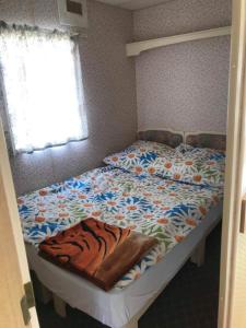 Domki Holenderki Wiki Chłapowo