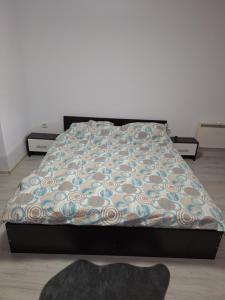 Case de vacanță Gabriel