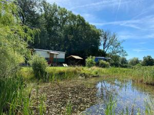 Maisons de vacances Bungalow accueillant a Saint-Pardoux avec piscine partagee : photos des chambres