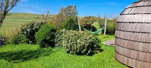Tiny House De Boet, in Natuurgebied en vlakbij het Strand
