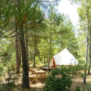 Forest Days - Solsona