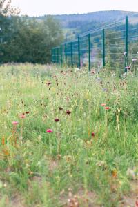 Кантрі-клуб ТИША