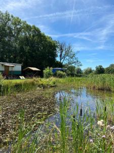 Maisons de vacances Bungalow confortable a Saint-Pardoux avec piscine partagee : photos des chambres